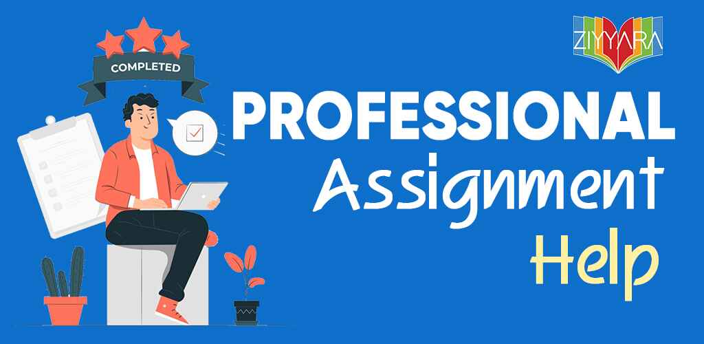 Professional Online Assignment
