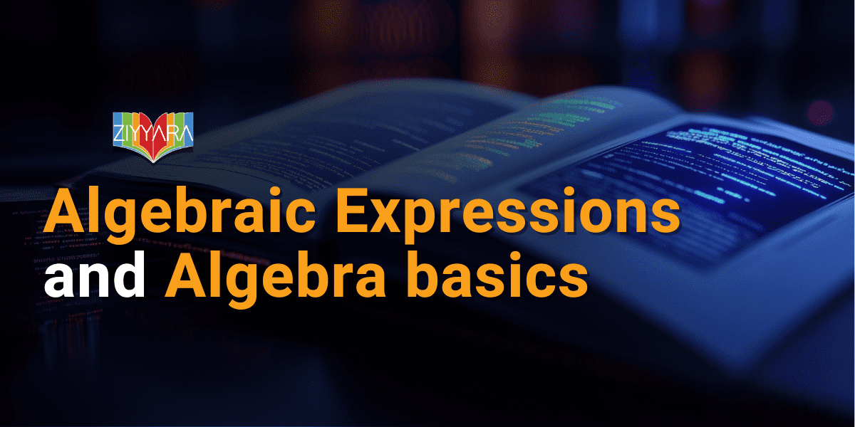 Algebraic Expressions and Algebra basics