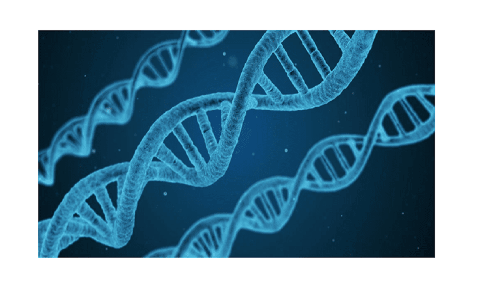 dna