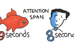 Short Attention Span in Students | Causes & Solutions Online