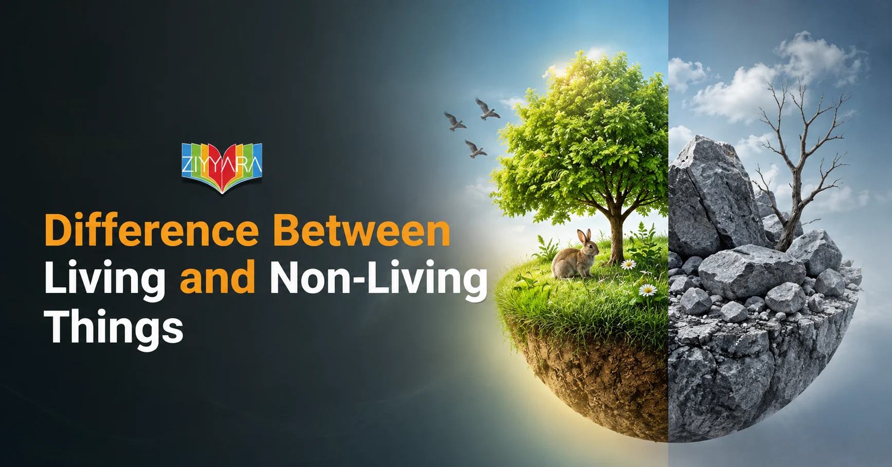 Difference Between Living and Non-Living Things